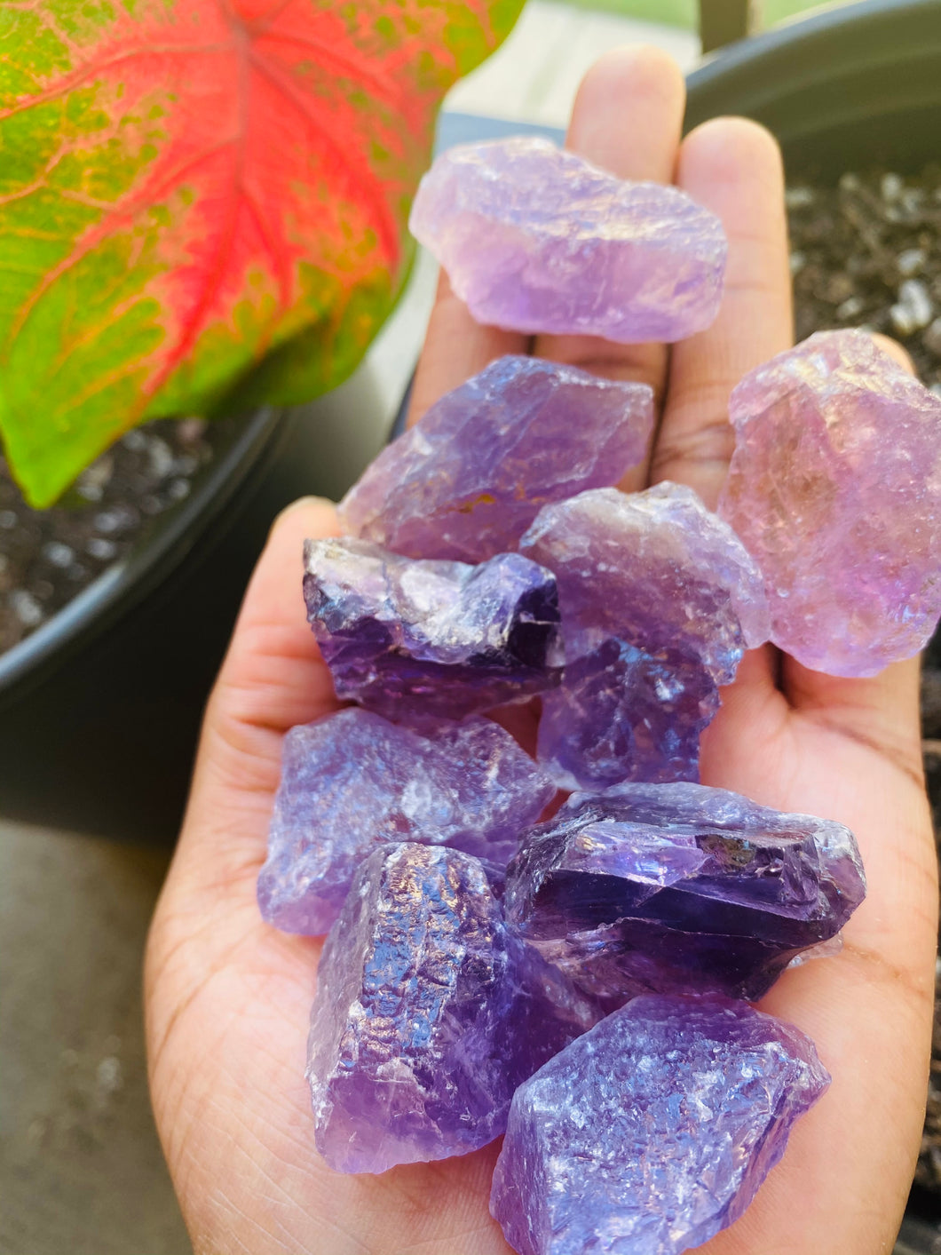 Rough Amethyst