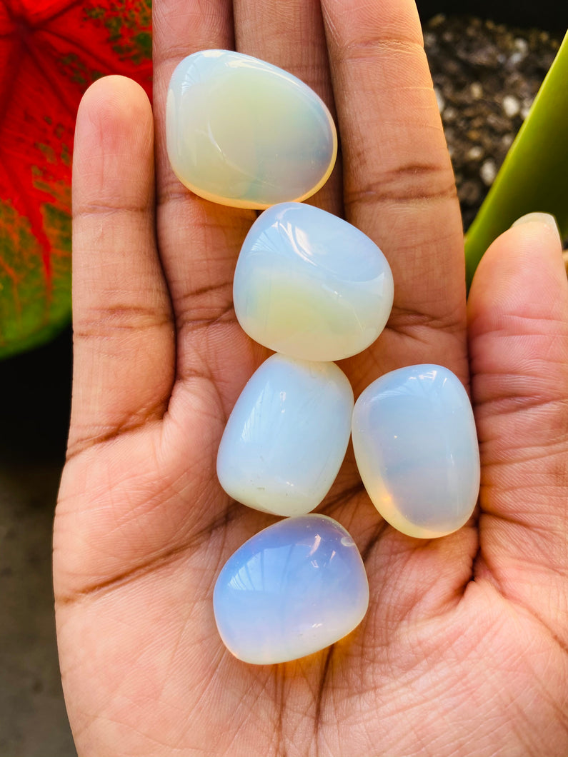 Blue Opal