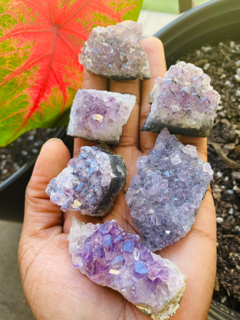 Amethyst Clusters